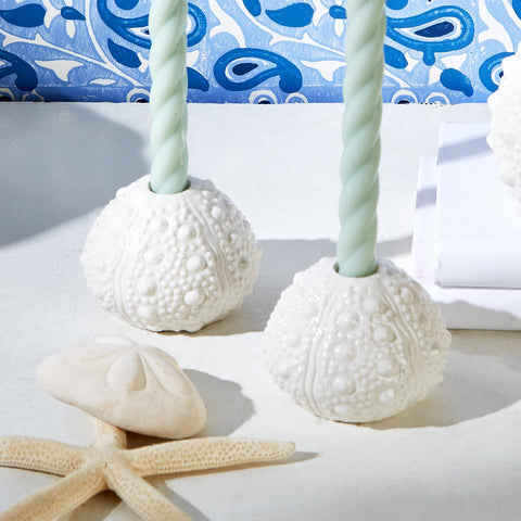 sea urchin candleholder