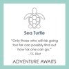 SEA TURTLE SEAFOAM-MD