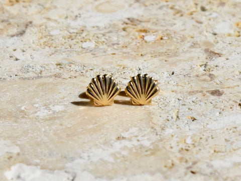 Sea shell stud earring