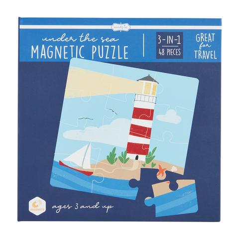 ocean magnetic puzzle